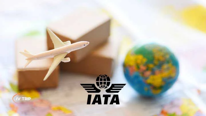 IATA Registration