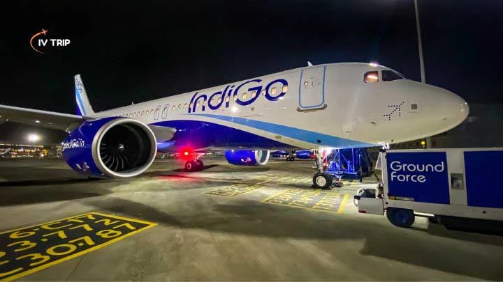 Indigo